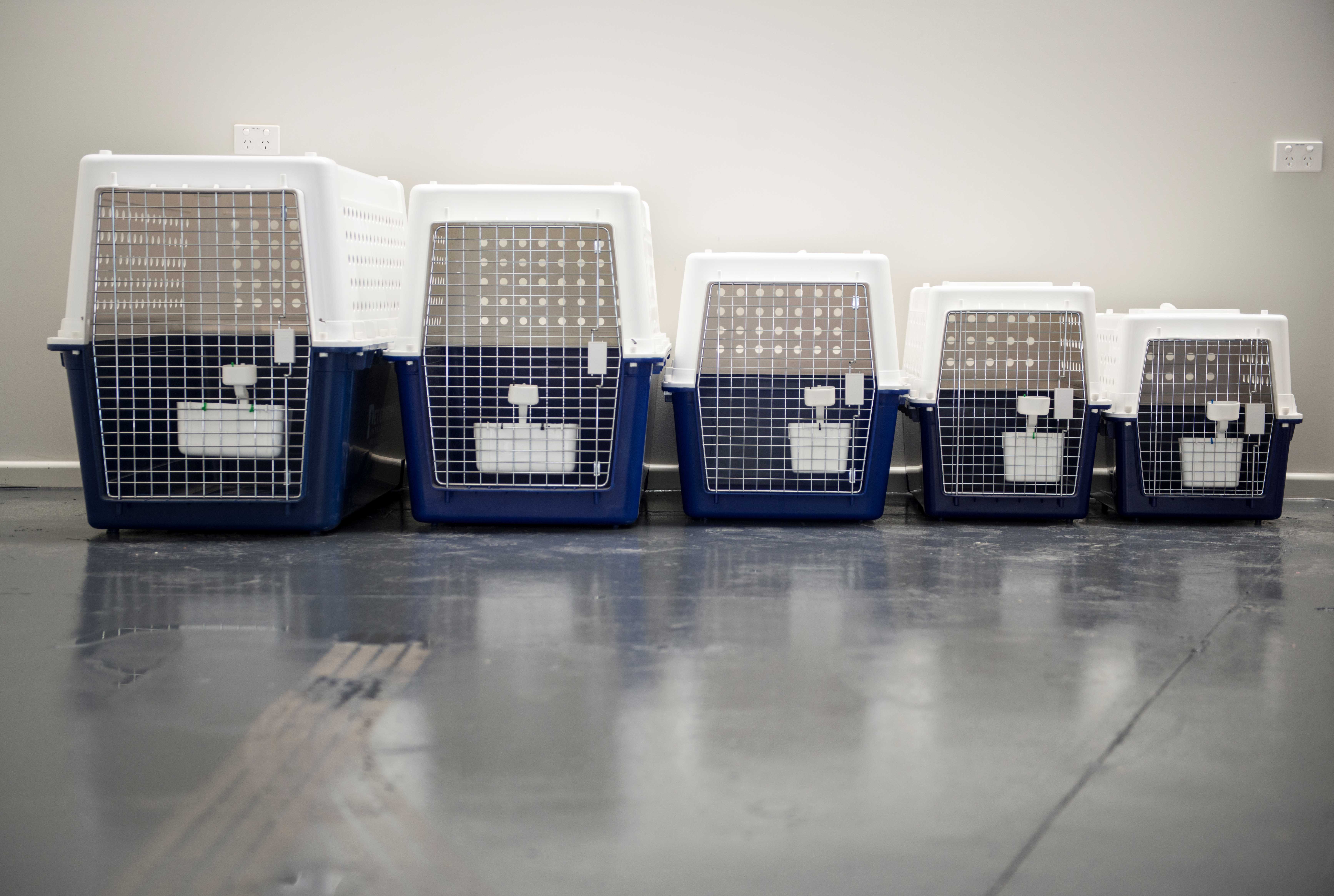 Crates in a row